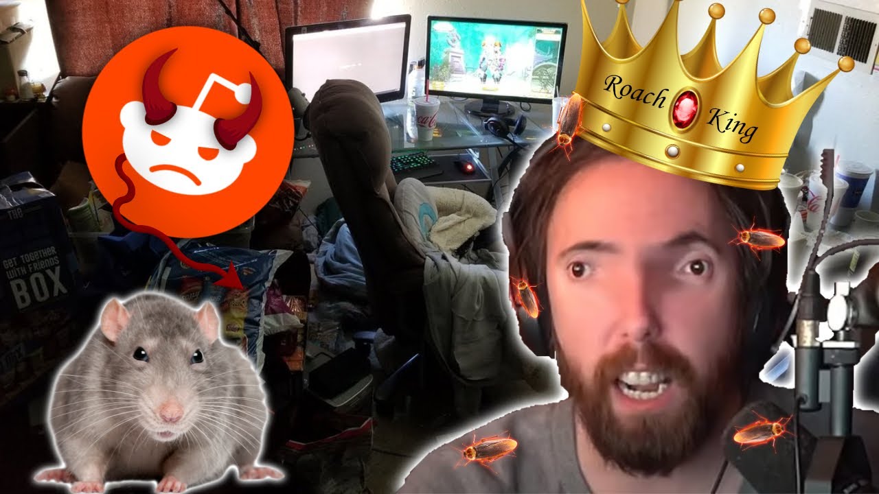 Reddit Hates: The Roach King | Asmongold - YouTube