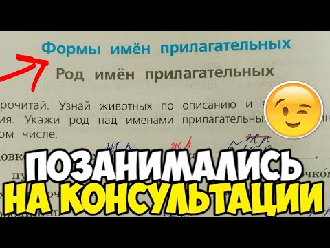 Проверяю проверочные работы по русскому языку 3 класс