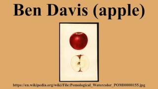 50 素晴らしいben Davis Wiki 人気のファッションスタイル