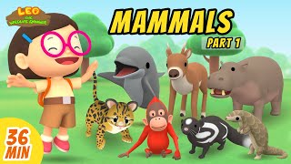 Mammals Minisode Compilation (Part 1/5)  Leo the Wildlife Ranger | Animation | For Kids