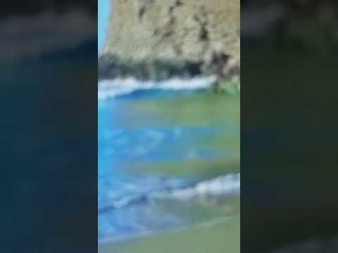 شيرين وشي الحقيقي    22