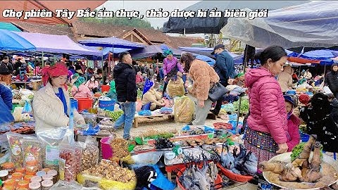 Chợ phiên Tây Bắc - Nơi Của Ẩm Thực, Thảo dược ngâm rượu tinh hoa của núi rừng