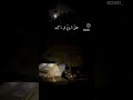 اينسى القلب انسان