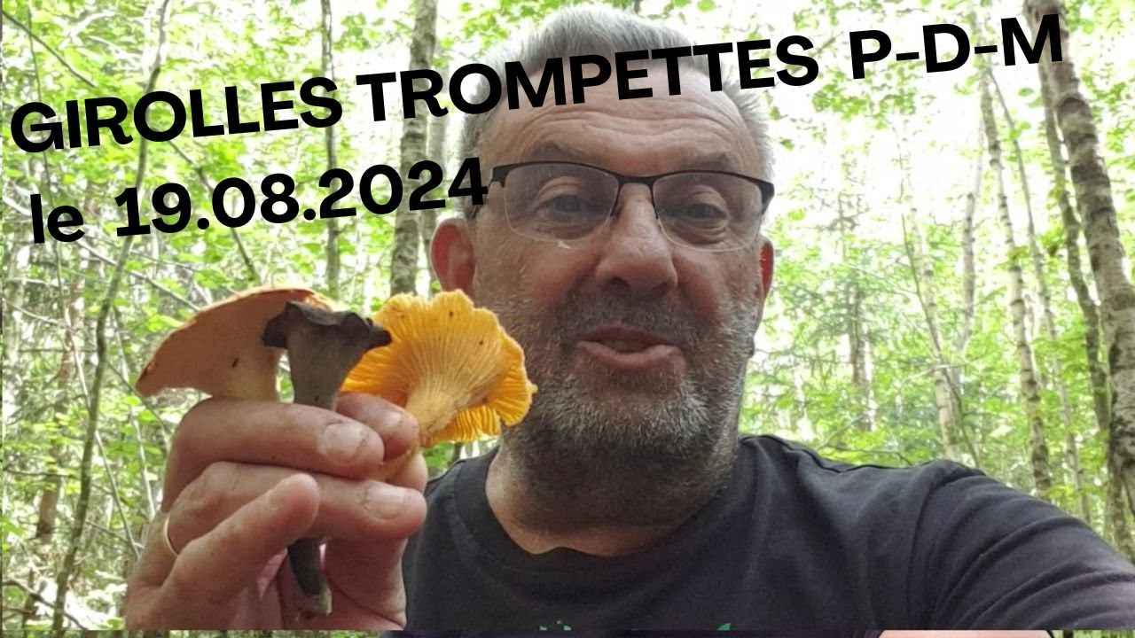 𝐆𝐈𝐑𝐎𝐋𝐋𝐄𝐒 𝐓𝐑𝐎𝐌𝐏𝐄𝐓𝐓𝐄𝐒 𝐏 𝐃 𝐌 𝐥𝐞 𝟏𝟗 𝟎𝟖 𝟐𝟎𝟐𝟒 🌳🌲🍄🍄🌲🌳