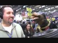 Conan travels  triumph the insult comic dog visits hofstra university  101608