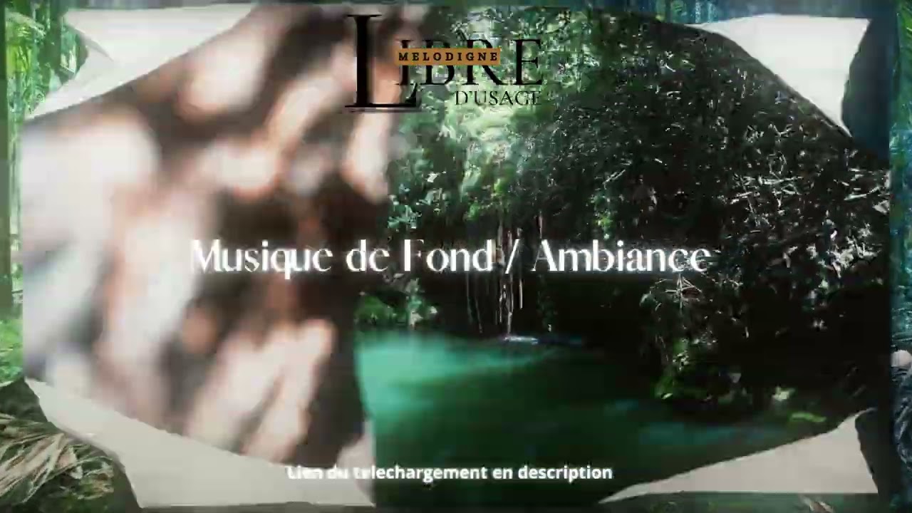 Forest Echoes - Melodigne Music - Musique de fond