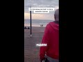 Рассвет в лесу: момент, который нельзя пропустить 🌅