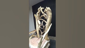 super master woodworker