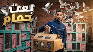 بعت حمام 🤔 ومسكت حمام غريب 