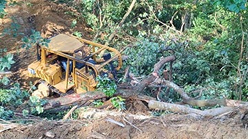 Effective Techniques for Knocking Down Trees and Making Palm Terrace on Mountain Slopes with Dozer