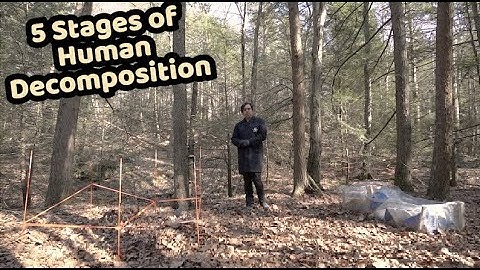 How does a human body decompose? | Body Farm Forensics