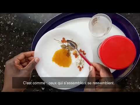 Vidéo: Comment Dire Bon Miel