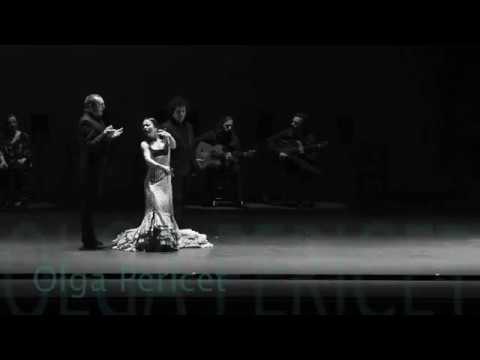 Gala Flamenca 2017