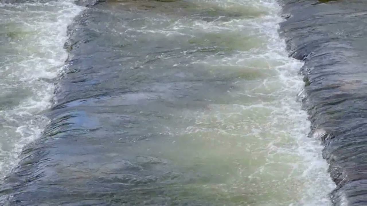 28.6.2025 - Divine Reading: Psalms 39:1-13