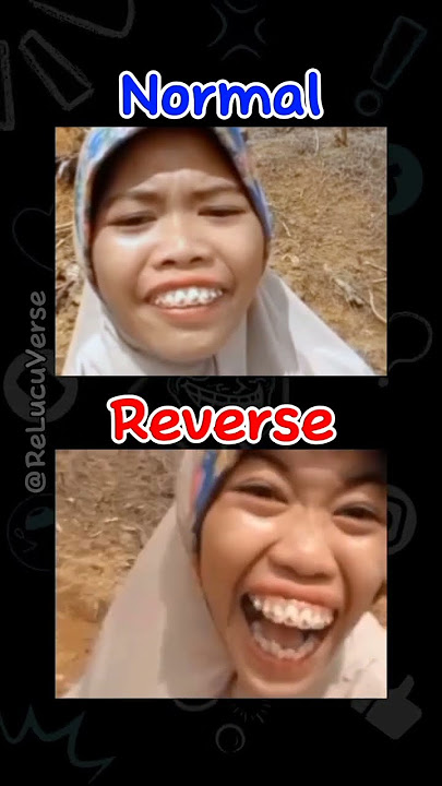 Burung Puyuh Dimakan Biawak (reverse subtitle) #shorts #reverse #lucu #memes