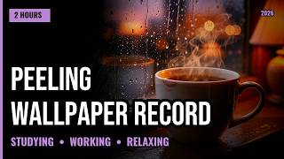 Peeling Wallpaper, a Record Spinning on Its Own, Rain Against Glass Nobody Opened — Lofi Session 202