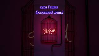 3 сура Гашия (последний день мира), чтение Корана и красивый русский перевод