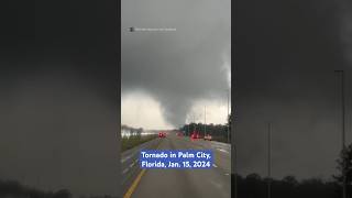 Tornado strikes Palm City, Florida; no injuries reported
