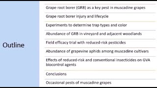 Vineyard Insect Pest Management
