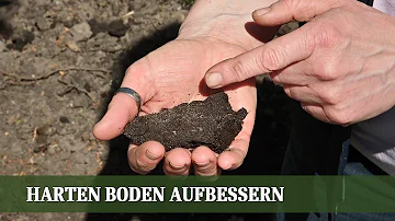 Welchen Sand in Erde einarbeiten?