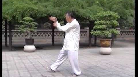 Xing Yi Quan of the Shang family(Part 1)