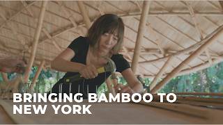 Bringing Bamboo to New York