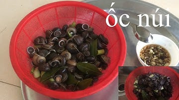 ốc núi,chia sẻ cách làm sạch chế biến món ốc núi ngon và nhanh nhất/phương nam28 vlog