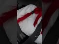 Immortal She Makima Chainsawman Cosplay TikTok Trend 