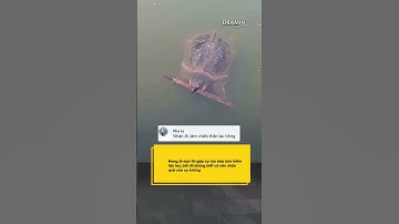 Đang đi dạo thì gặp cụ rùa ship bảo kiếm tận tay, bối rối không biết có nên nhận quà của cụ không