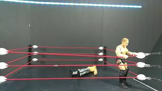 BME - Best Moonsault Ever (WWE | AEW | TNA | Stop Motion)