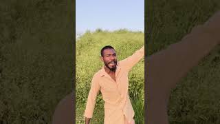 ek do sayer make apap ko sayar baj smjhte ho #anupam #anupamaaspoiler #pan#anup babu lal dhivana