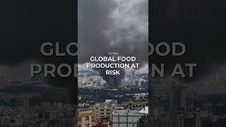 Fertilizer shortage threatens global food supply