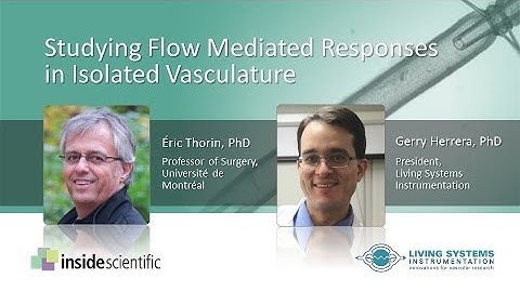 Studying Flow Mediated Responses in Isolated Vasculature