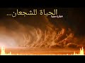 موسيقى حماسية حربية تحفيزية رائعة حماة الأرض 