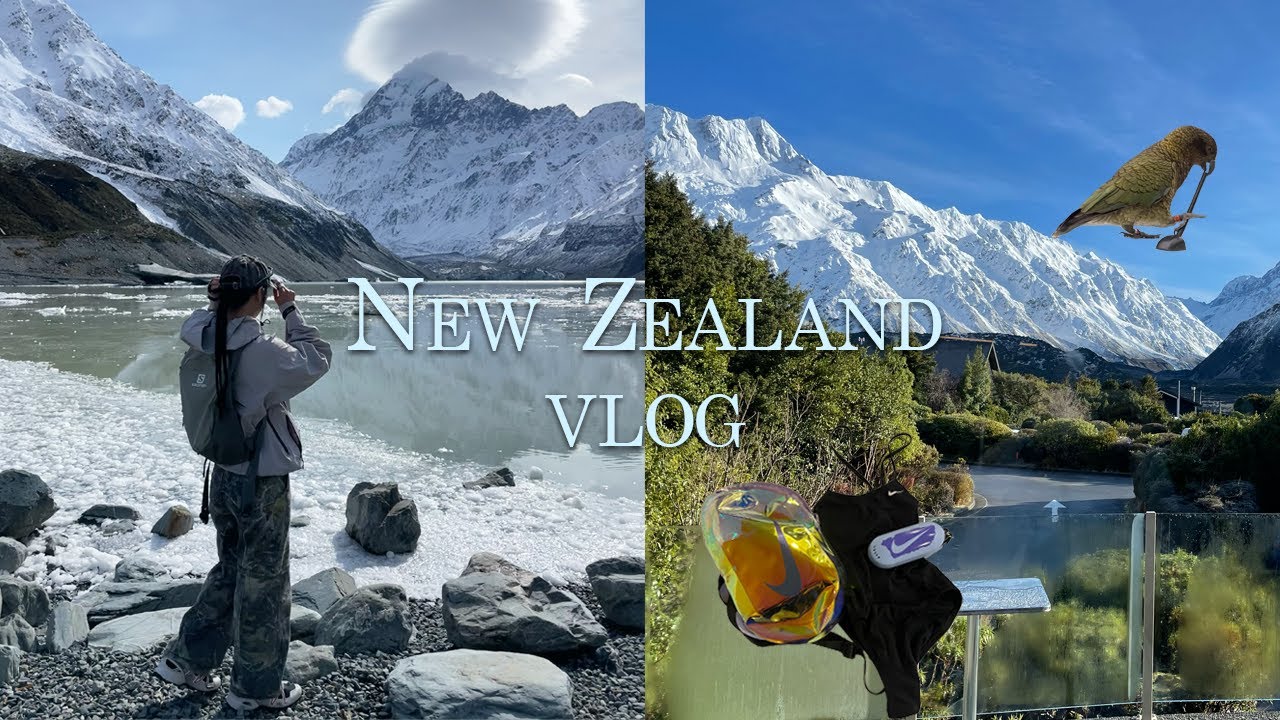 돌고래랑 수영하고🐬 빙하보는 뉴질랜드 여행 ep02