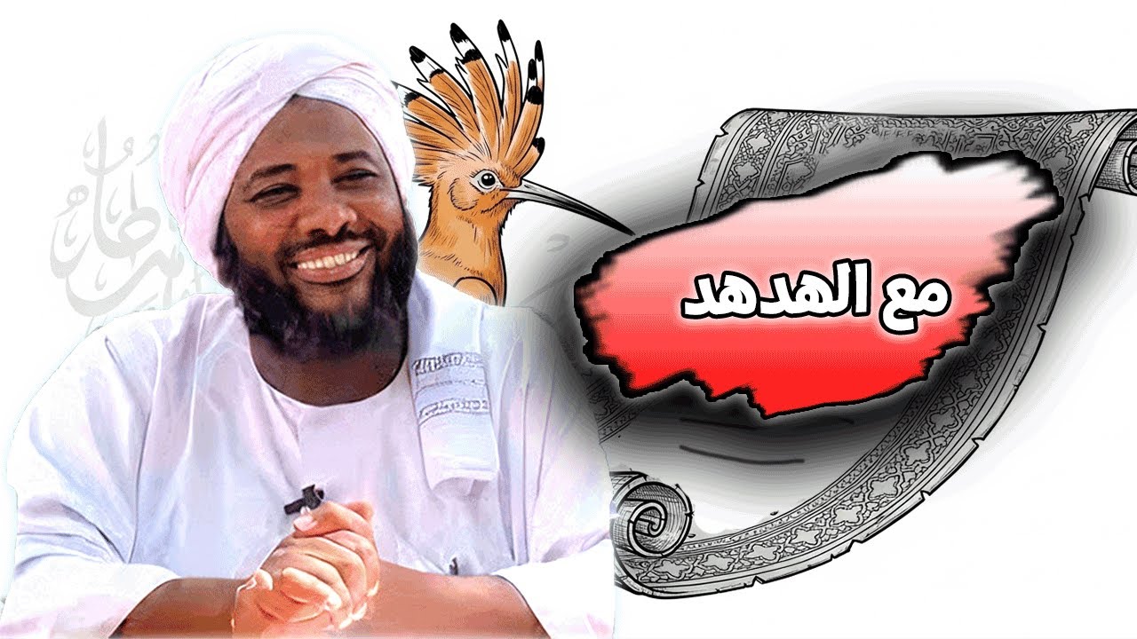 مع الهدهد | محمد سيد حاج | خطب