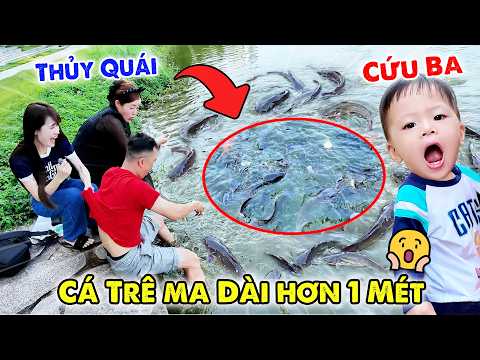 PHÁT HIỆN ĐÀN CÁ TRÊ KHỦNG | KIẾP NẠN ZINO CHO CÁ ĂN | VÊ VÊ CHANNEL