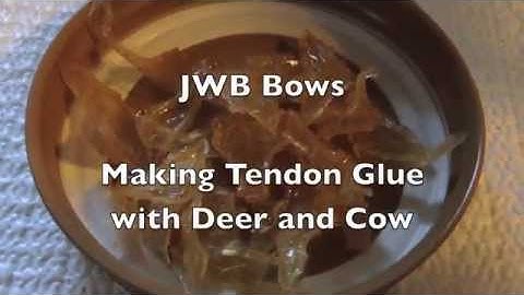 Making Tendon Glue with Deer and Cow