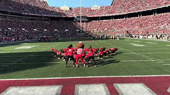 OSUDT x Brutus Buckeye