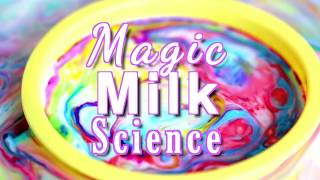 Magic Milk Science Experiment