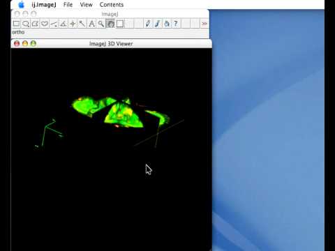 3d Viewer Imagej