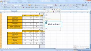 How to insert columns into a table with Excel 2007