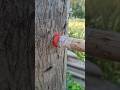 Let's try tricks to hang clothes !🤔 #diy #tips #woodwork #lifehack #satisfying #ytshort #viral #reel