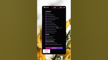 Best Reseller Hosting With WHMCS | Best White Label Reseller Hosting