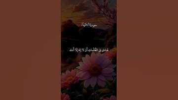 سوره الانبياء تلاوه خاشعه ارح سمعك حالات واتساب دينيه جمعه مباركه