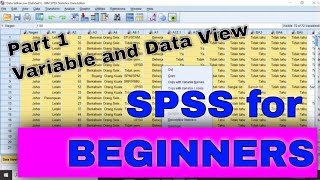 SPSS For Beginners / Keyin Variable View and Data View Part 1