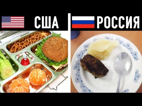 10 ШКОЛЬНЫХ ОБЕДОВ В РАЗНЫХ СТРАНАХ МИРА