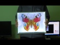 3d-изображения земли и бабочки
