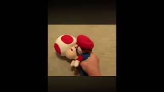 Full Sml  toad mistake 2009 News
