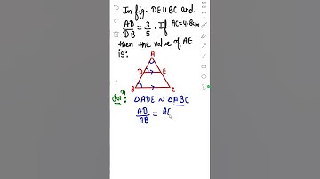 Chapter 6 Triangles Important questions series 2023/ Class 10 maths PYQS /BPT/similarity CBSE 10